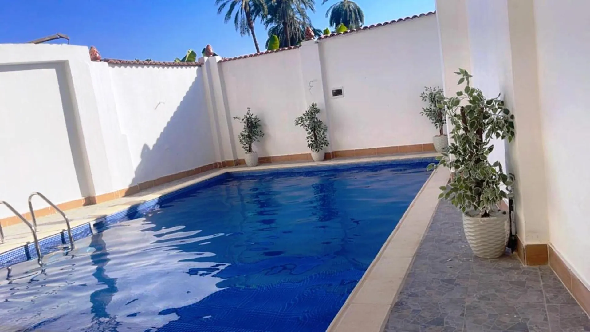 El Hady Apartments Swimming Pool ルクソール エジプト