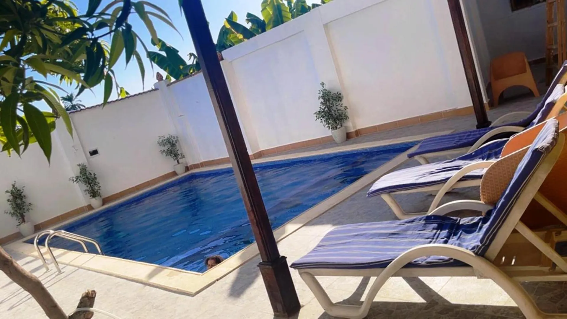 El Hady Apartments Swimming Pool ルクソール