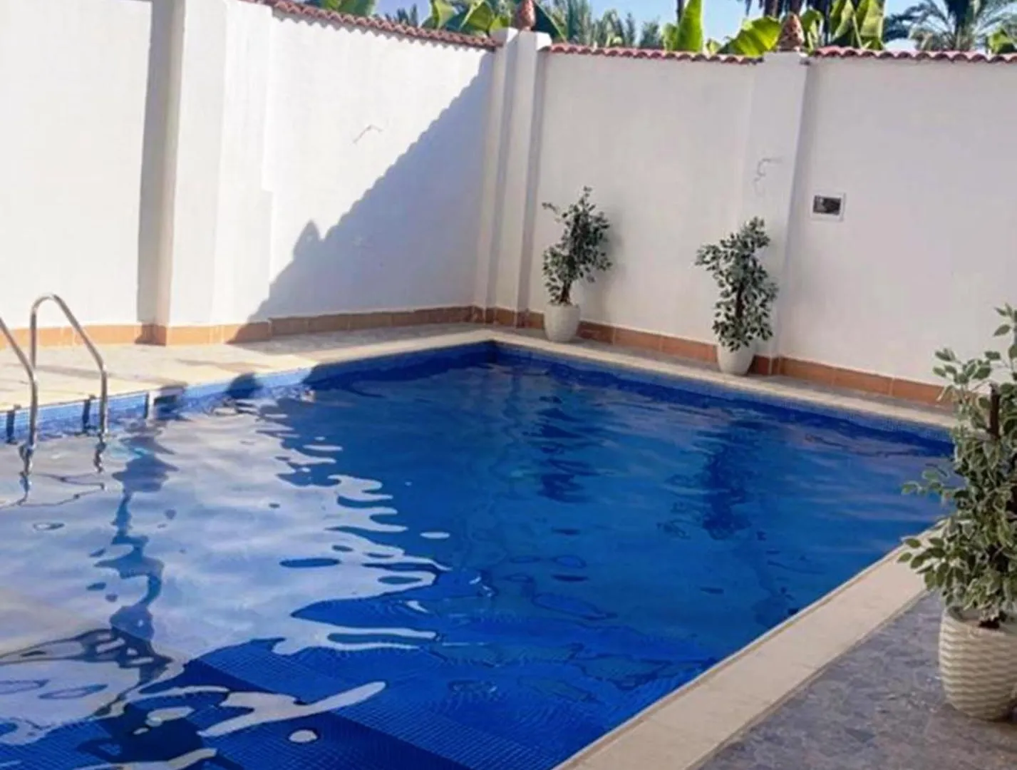 El Hady Apartments Swimming Pool ルクソール