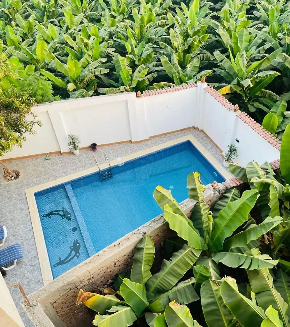 El Hady Apartments Swimming Pool ルクソール